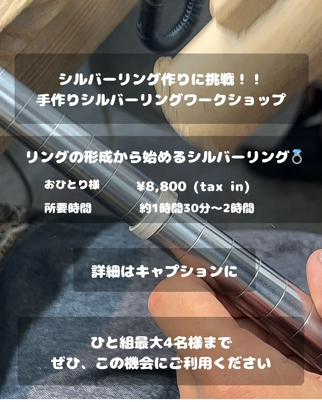 フォロー・いいね・コメント