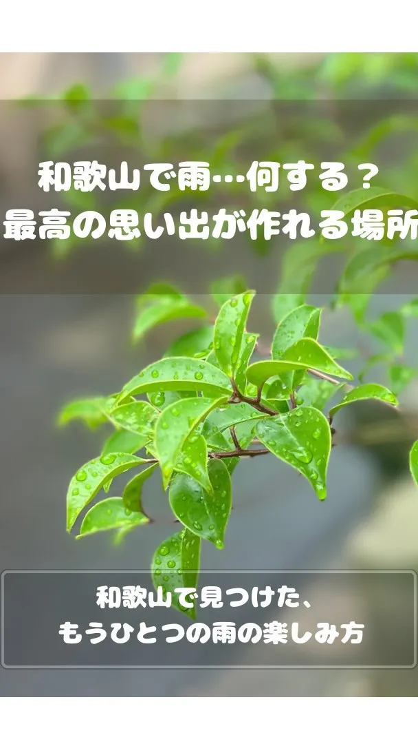 ⁡